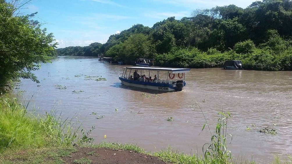 Picture 4 for Activity palo verde safari tour