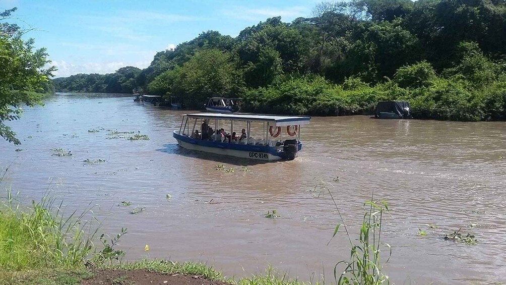 Picture 4 for Activity palo verde safari tour