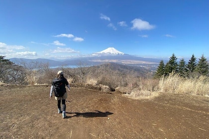 Private Hiking Tour to View Mt. Fuji