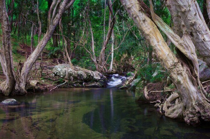 Tropical North Queensland