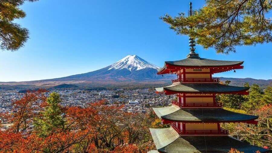 Private Customizable Tour in Mount Fuji