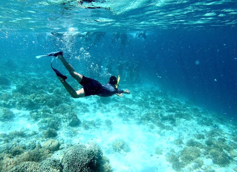 Picture 6 for Activity Snorkelling Trip (Dimaniyat Island trip)