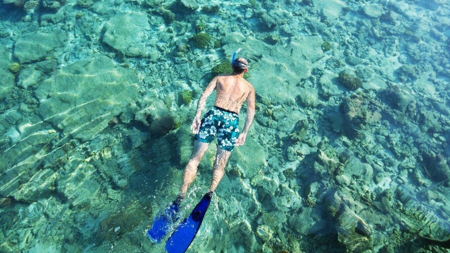 Snorkelling Trip