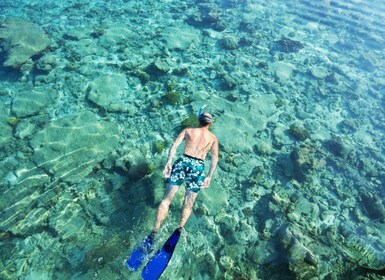 From Muscat: Snorkeling Trip (Dimaniyat Island trip)