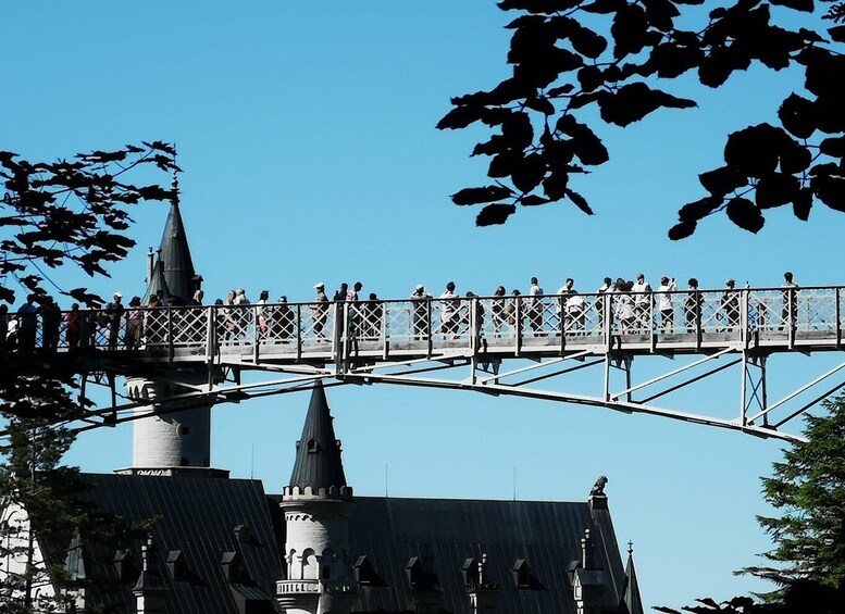 Picture 10 for Activity Munich: Neuschwanstein Castle by Bus with Alpine Bike Ride