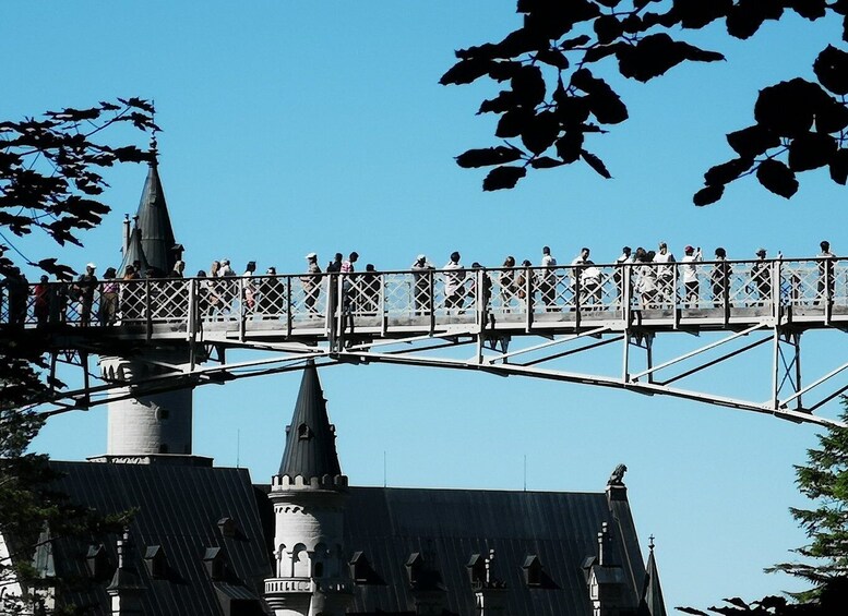 Picture 10 for Activity Munich: Neuschwanstein Castle by Bus with Alpine Bike Ride