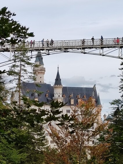 Picture 8 for Activity Munich: Neuschwanstein Castle by Bus with Alpine Bike Ride