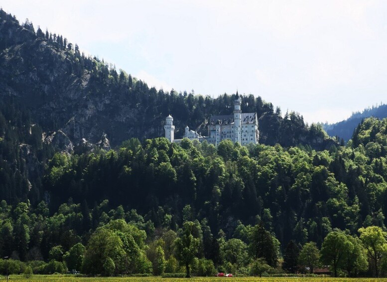 Picture 3 for Activity Munich: Neuschwanstein Castle by Bus with Alpine Bike Ride