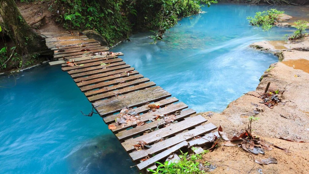 Picture 3 for Activity rio celeste and sloth tour