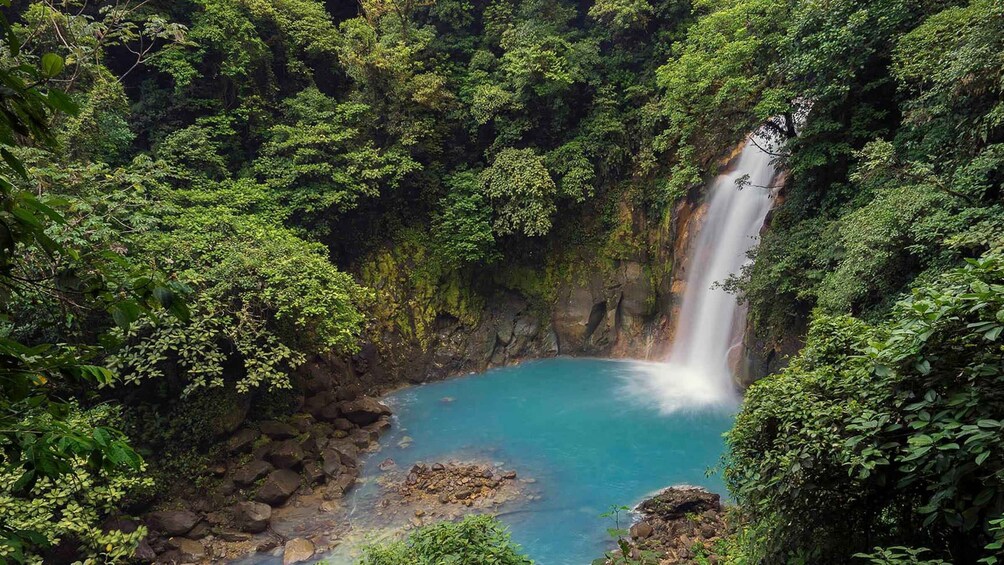 Picture 4 for Activity rio celeste and sloth tour