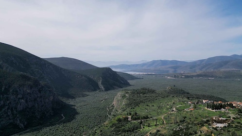 Delphi: Easy Hike on Ancient Path through the Olive Groves