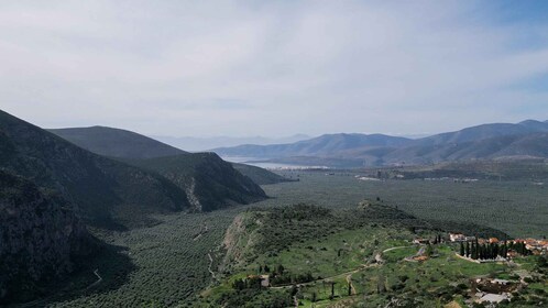 Delphi: Easy Hike on Ancient Path through the Olive Groves