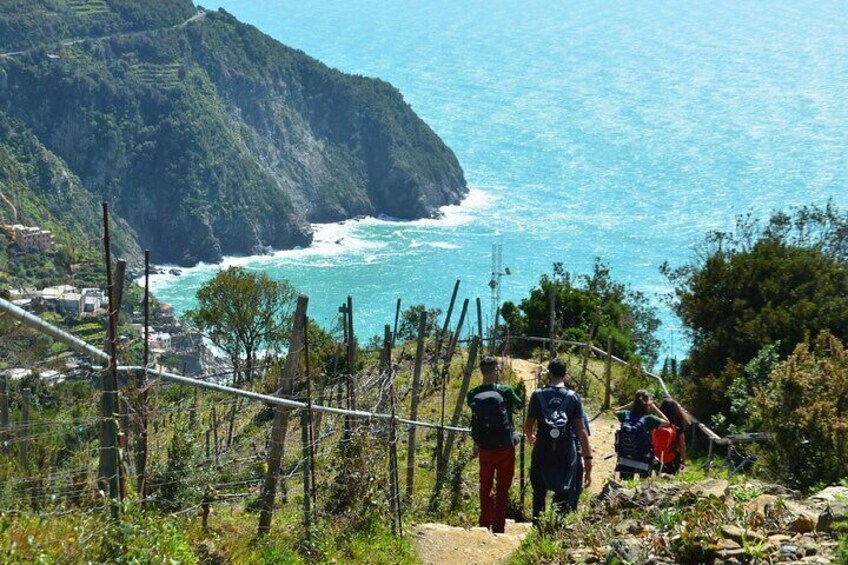 Eco Hiking and Wine Tasting in Cinque Terre
