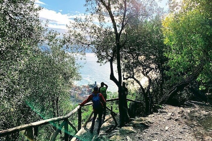 Eco Hiking and Wine Tasting in Cinque Terre