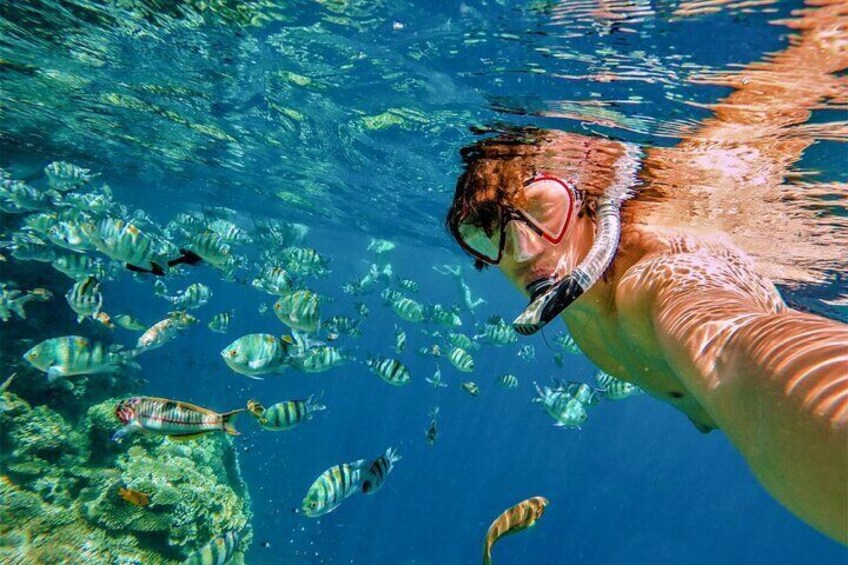 Boat Tour and Snorkel at Pelican Rock