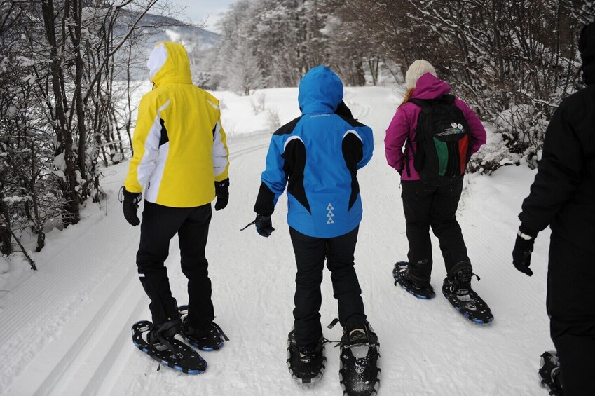 Ushuaia at Night: Dinner by Snow and Fire, Sleds and Adventure