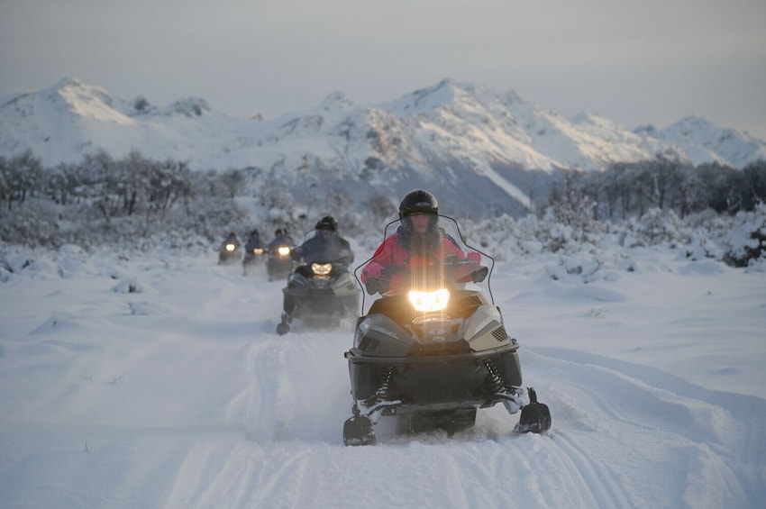Ushuaia at Night: Dinner by Snow and Fire, Sleds and Adventure