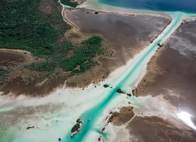 Private pontoon tour in the seven colors Bacalar lagoon