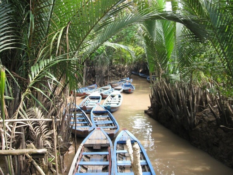 Mekong Delta Luxury Boat Experience with Local Culture and Cuisine Tour