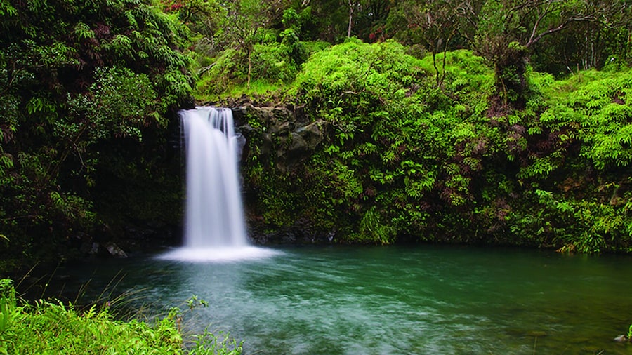 Day Trip Road to Hana Adventure Tour from Oahu to Maui