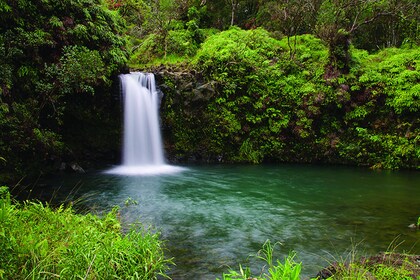 Day Trip Road to Hana Adventure Tour from Oahu to Maui