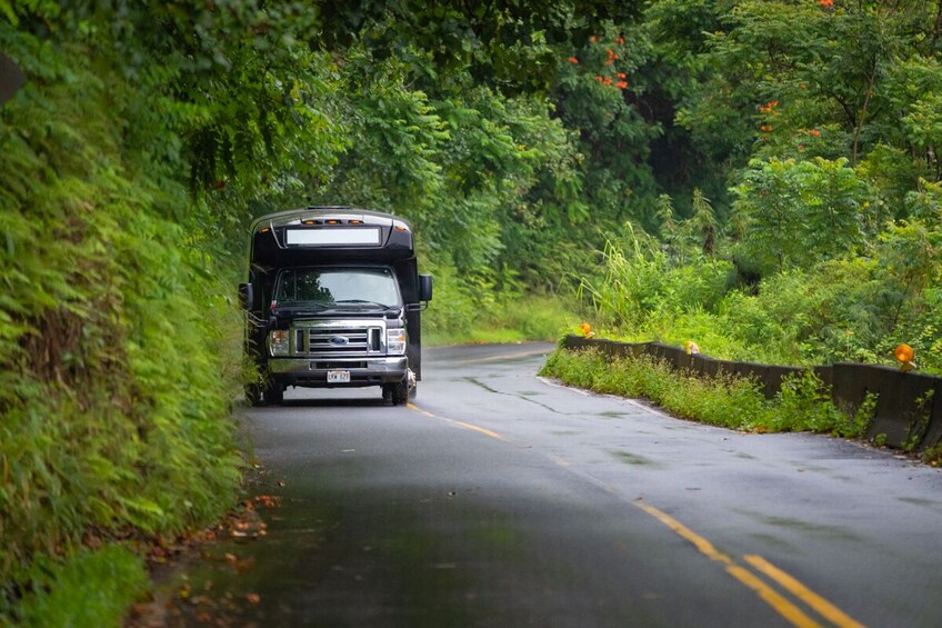 Day Trip Road to Hana Adventure Tour from Oahu to Maui