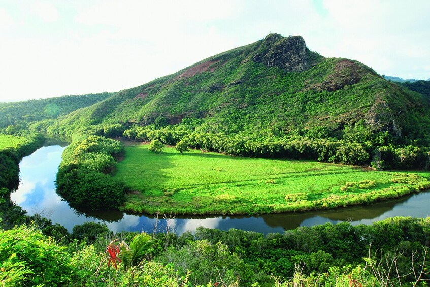 Day Trip Waimea Canyon, Wailua River and Fern Grotto from Oahu to Kauai