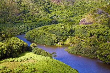 Dagtocht Waimea Canyon, Wailua River en Fern Grotto van Oahu naar Kauai