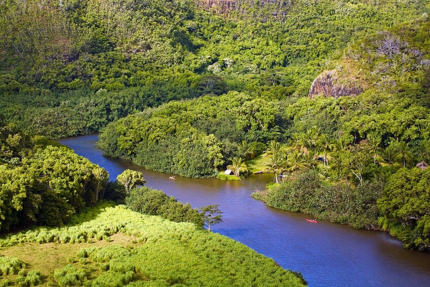 Day Trip Waimea Canyon, Wailua River and Fern Grotto from Oahu to Kauai