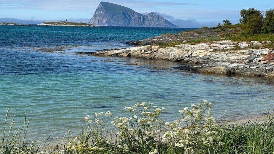 Private Day Tour in Tromsø through Nature and Culture