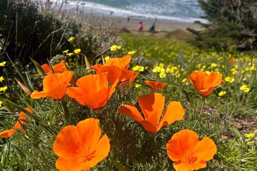 Hiking along Pacifica State Beach Coastline