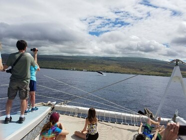 Wake up with the Whales Departing Kawaihae