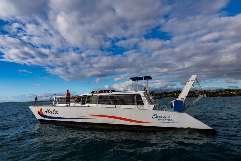 Wake up with the Whales Departing Kawaihae