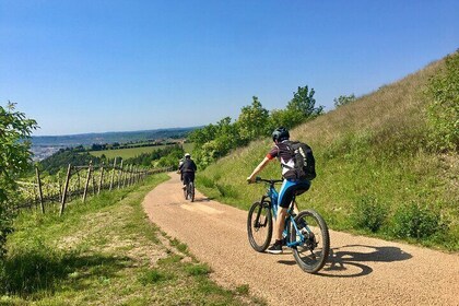 E-Bike Tour with Wine Tasting from Salò