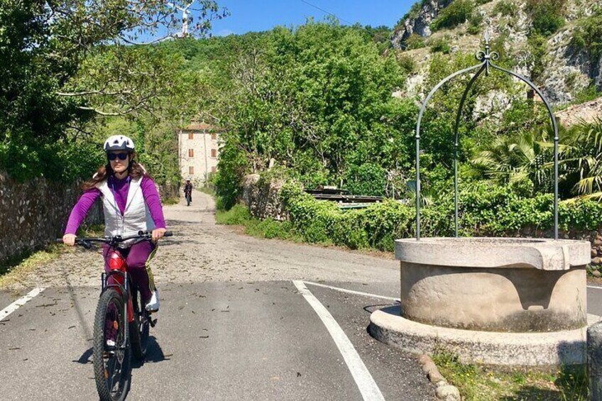 E-Bike Tour with Wine Tasting from Salò