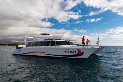 Snorkel walvissafari met vertrek uit Kawaihae