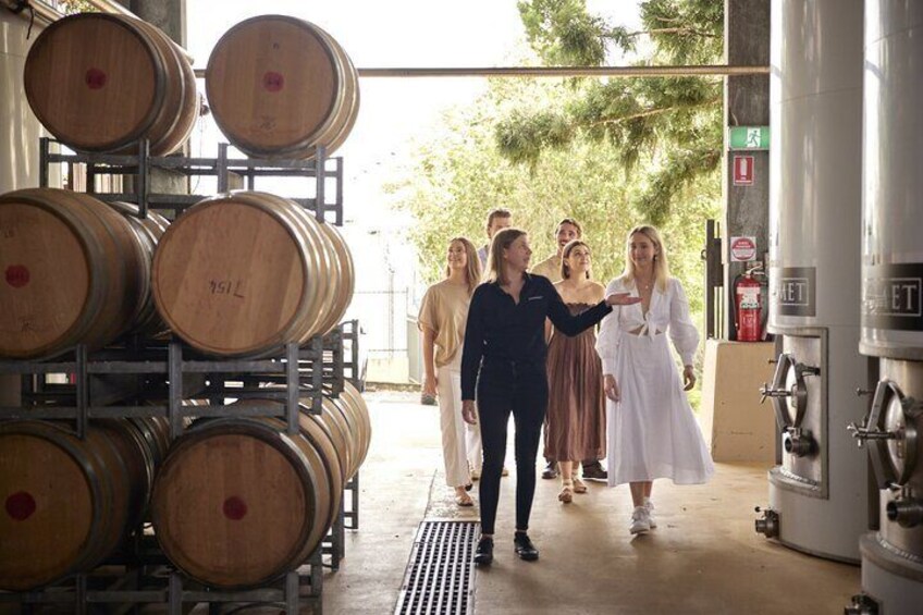 Sirromet Cellar Door Wine Tasting Public Tour with Lunch