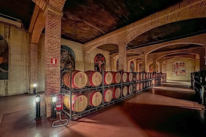 Private Wine Tour to the Costa Blanca Wineries