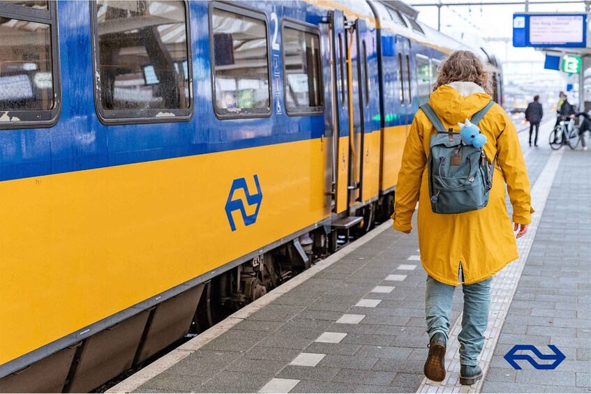 Picture 10 for Activity Eindhoven: Train Transfer Eindhoven from/to Rotterdam