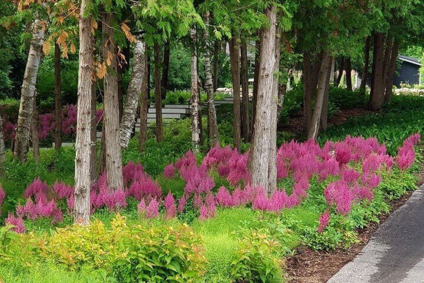 Gardens of Northern Michigan