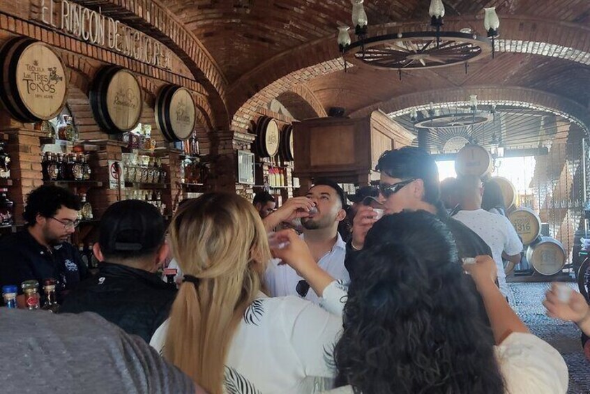 Tequila Tasting and Cultural Tour at Tequila Jalisco