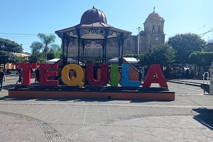 Tequila Tasting and Cultural Tour at Tequila Jalisco