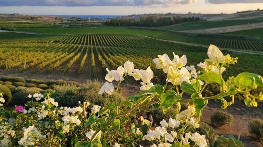 8 Days Private Historical Tour in Rural Sicily with Food and Wine
