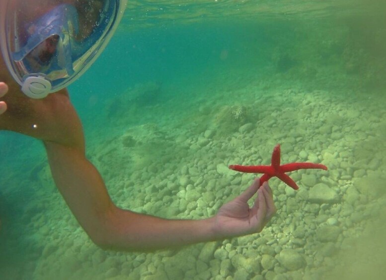 Picture 3 for Activity From Lefkada: Half-Day Kayak Tour to Meganisi Island