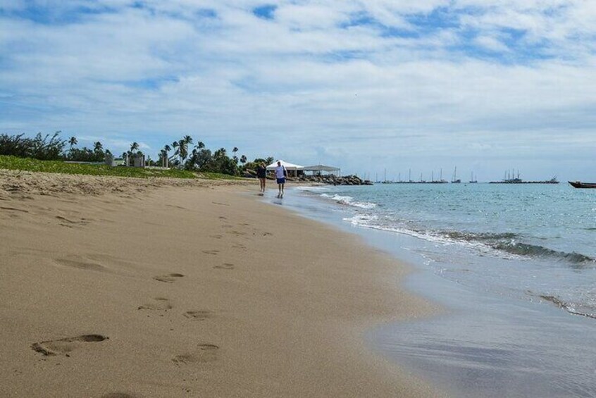 5 Hour Nevis Panoramic Drive and Beach Experience with a Guide