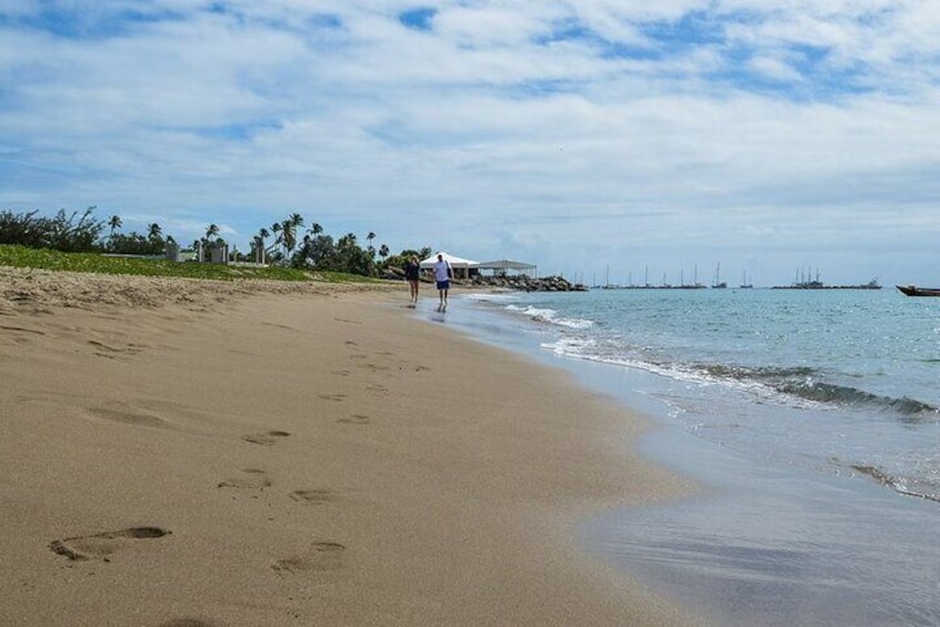 5 Hour Nevis Panoramic Drive and Beach Experience with a Guide