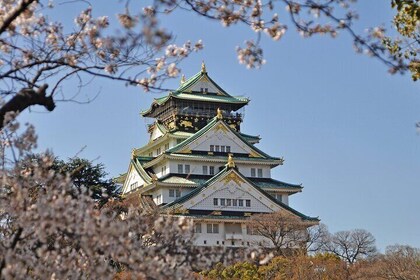 Private Customisable Tour Visit in Nagoya with Transfer Included