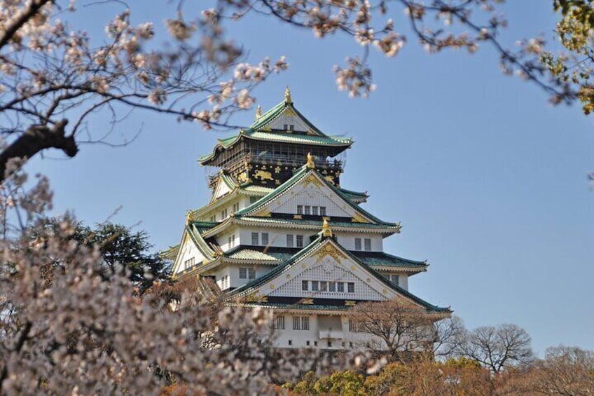 Private Customizable Tour Visit to Nagoya with Transfer Included