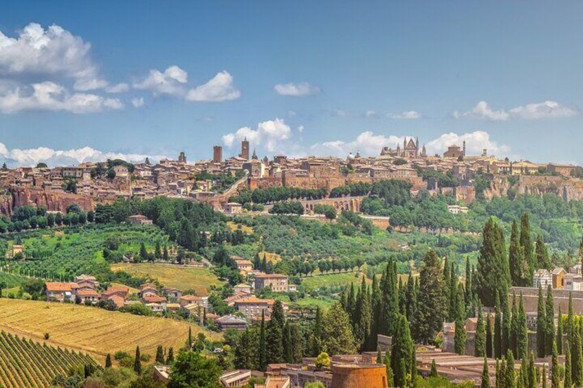 Best of Orvieto Private Guided Tour of City Hightlights