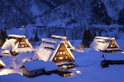 Private Sightseeing Tour to Shirakawago and Takayama from Nagoya